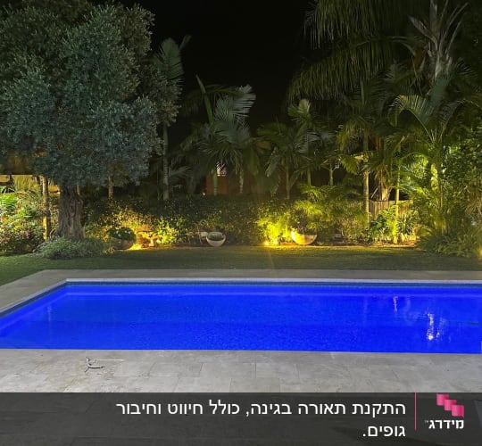 בריכת שחייה מוארת בלילה עם עצים מסביב